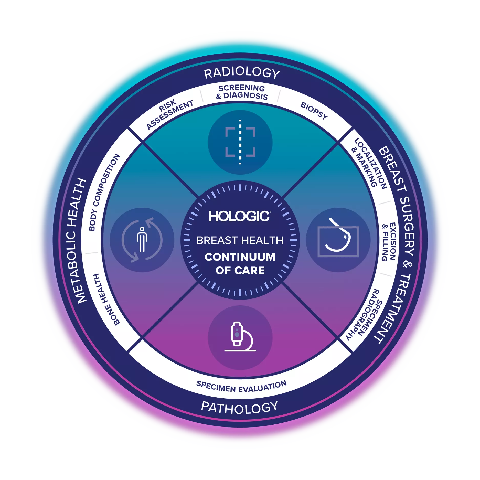 Illustration of Hologic Breast Health Continuum of Care